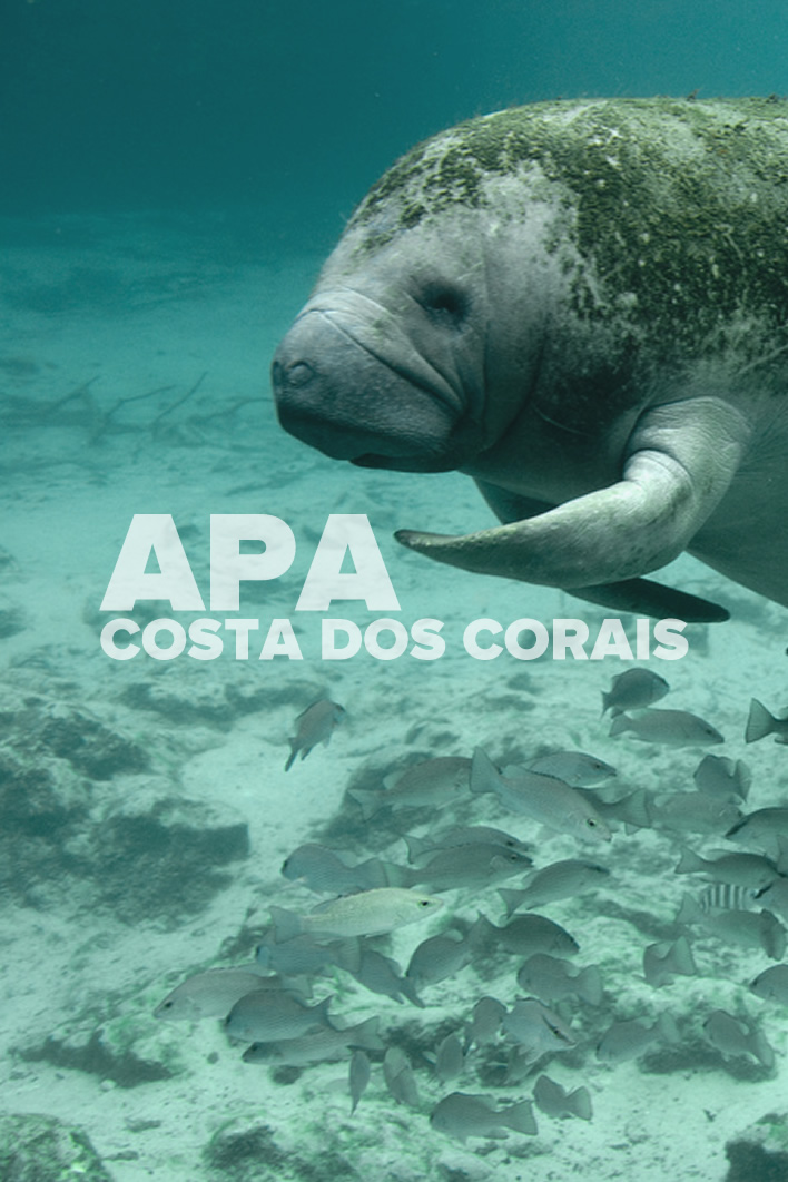 APA - Visite Costa dos Corais - Alagoas
